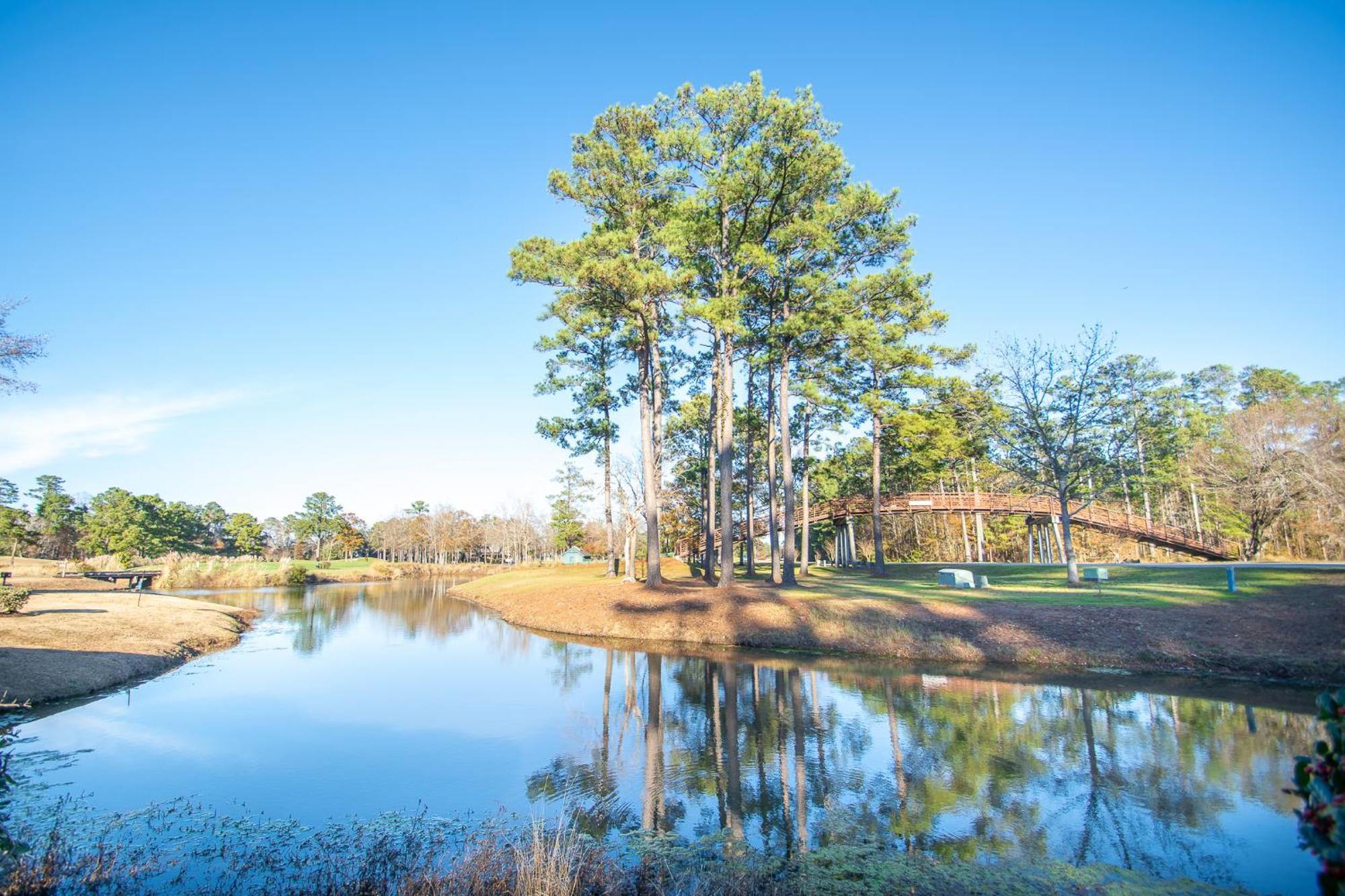 River Oaks 15-G By Palmetto Vacation Rentals Myrtle Beach Exterior photo